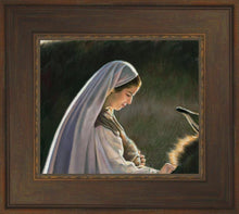 Load image into Gallery viewer, Journey
