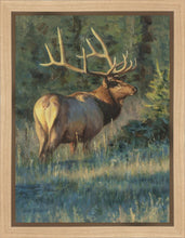 Load image into Gallery viewer, His Majesty
