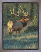 Load image into Gallery viewer, His Majesty
