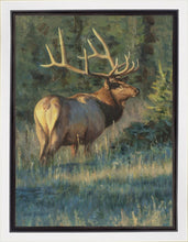 Load image into Gallery viewer, His Majesty
