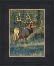 Load image into Gallery viewer, His Majesty

