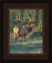 Load image into Gallery viewer, His Majesty
