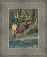 Load image into Gallery viewer, His Majesty
