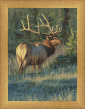 Load image into Gallery viewer, His Majesty
