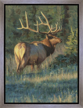 Load image into Gallery viewer, His Majesty
