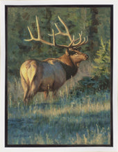 Load image into Gallery viewer, His Majesty
