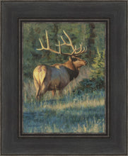 Load image into Gallery viewer, His Majesty
