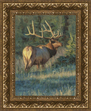 Load image into Gallery viewer, His Majesty
