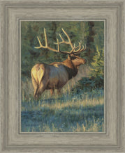 Load image into Gallery viewer, His Majesty
