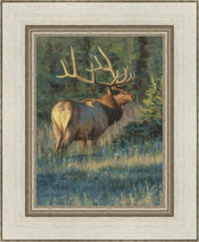 Load image into Gallery viewer, His Majesty
