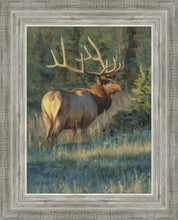 Load image into Gallery viewer, His Majesty
