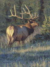 Load image into Gallery viewer, His Majesty
