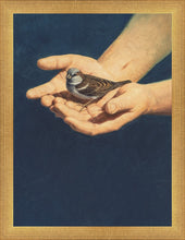 Load image into Gallery viewer, Always in His Care
