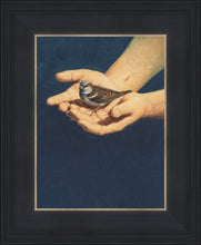Load image into Gallery viewer, Always in His Care
