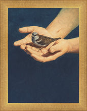 Load image into Gallery viewer, Always in His Care
