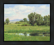 Load image into Gallery viewer, Poplar Springs
