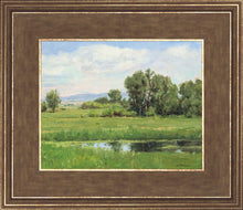 Load image into Gallery viewer, Poplar Springs
