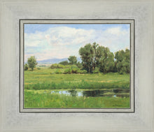 Load image into Gallery viewer, Poplar Springs
