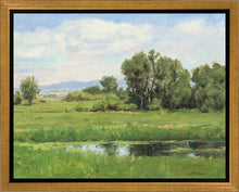 Load image into Gallery viewer, Poplar Springs
