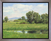 Load image into Gallery viewer, Poplar Springs
