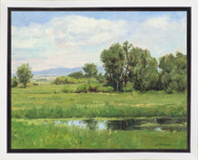 Load image into Gallery viewer, Poplar Springs

