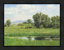 Load image into Gallery viewer, Poplar Springs
