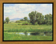 Load image into Gallery viewer, Poplar Springs
