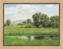 Load image into Gallery viewer, Poplar Springs
