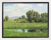 Load image into Gallery viewer, Poplar Springs
