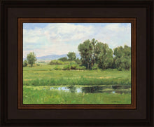 Load image into Gallery viewer, Poplar Springs
