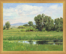 Load image into Gallery viewer, Poplar Springs
