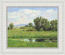 Load image into Gallery viewer, Poplar Springs

