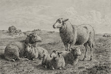 Load image into Gallery viewer, The Lamb of God
