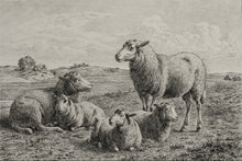 Load image into Gallery viewer, The Lamb of God

