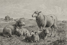 Load image into Gallery viewer, The Lamb of God
