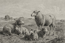 Load image into Gallery viewer, The Lamb of God
