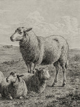 Load image into Gallery viewer, The Lamb of God
