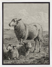 Load image into Gallery viewer, The Lamb of God

