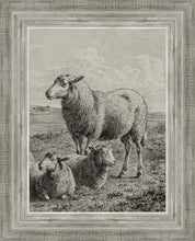 Load image into Gallery viewer, The Lamb of God
