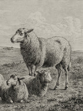 Load image into Gallery viewer, The Lamb of God
