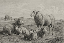 Load image into Gallery viewer, The Lamb of God
