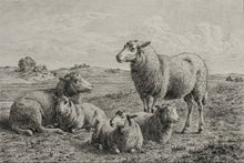 Load image into Gallery viewer, The Lamb of God
