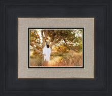 Load image into Gallery viewer, Our Tree of Life
