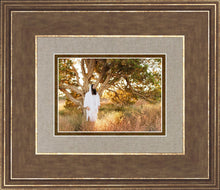 Load image into Gallery viewer, Our Tree of Life
