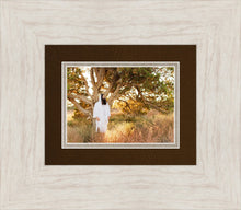 Load image into Gallery viewer, Our Tree of Life
