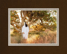 Load image into Gallery viewer, Our Tree of Life
