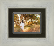 Load image into Gallery viewer, Our Tree of Life

