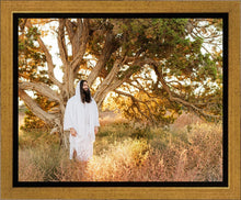 Load image into Gallery viewer, Our Tree of Life
