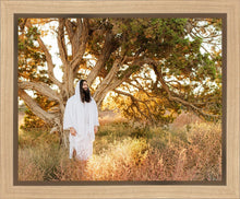 Load image into Gallery viewer, Our Tree of Life
