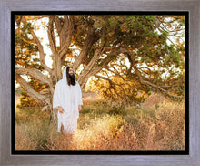 Load image into Gallery viewer, Our Tree of Life

